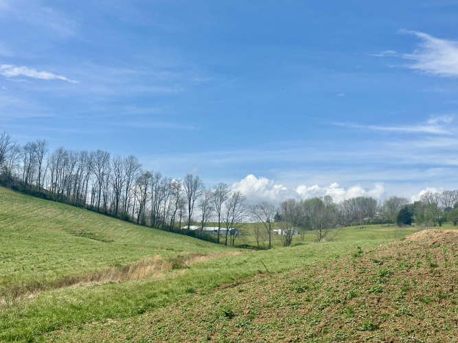 Listing Image 47