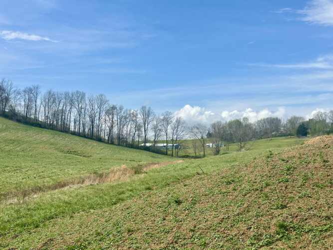 Listing Image 48