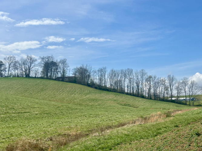 Listing Image 49