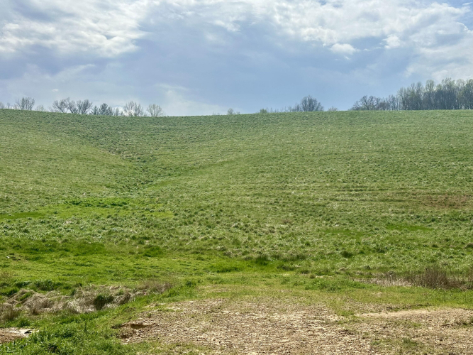 Listing Image 50