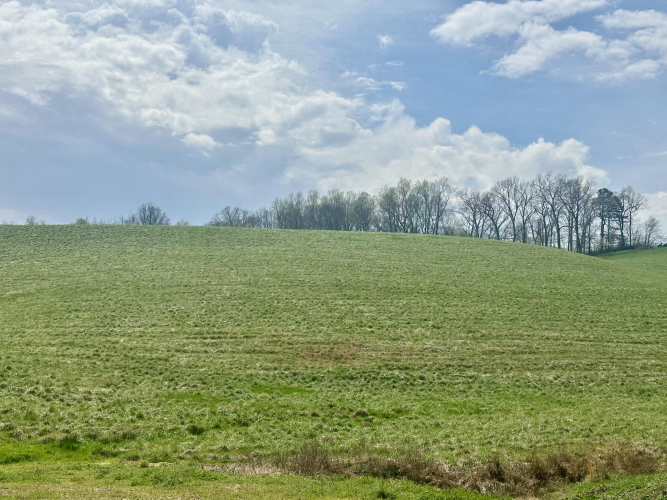 Listing Image 51