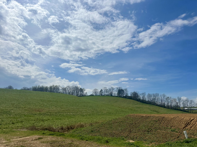 Listing Image 53