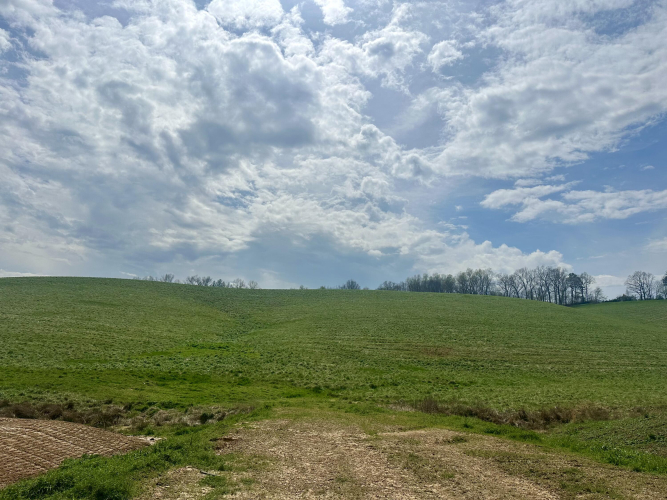 Listing Image 54
