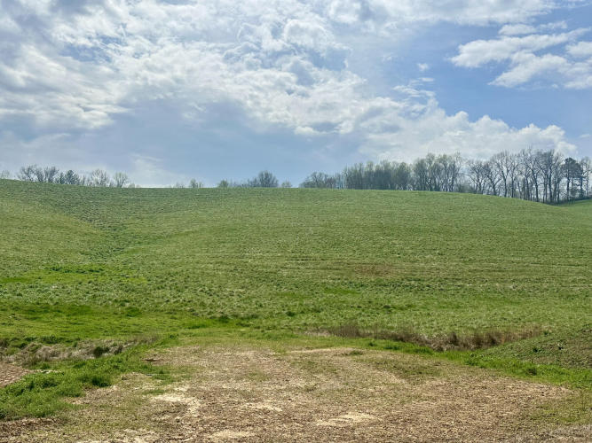 Listing Image 55