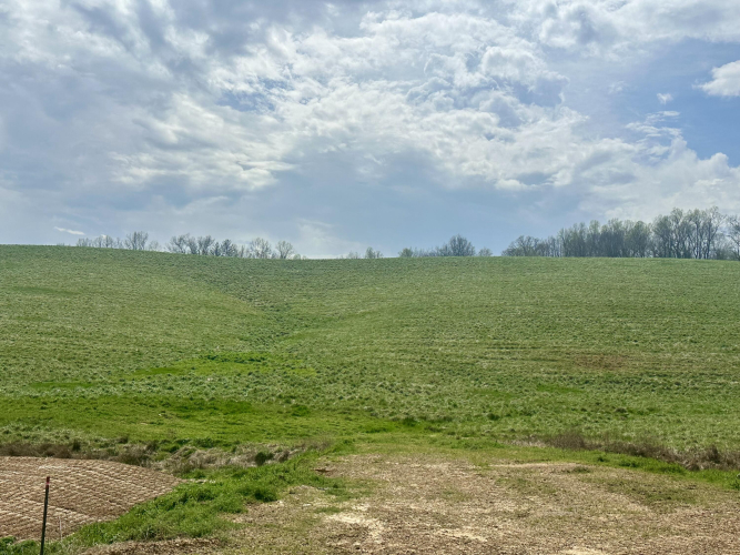 Listing Image 56