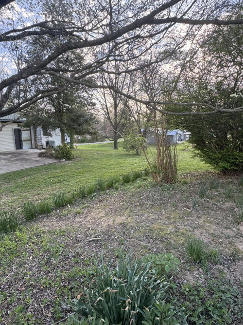 Listing Image 21