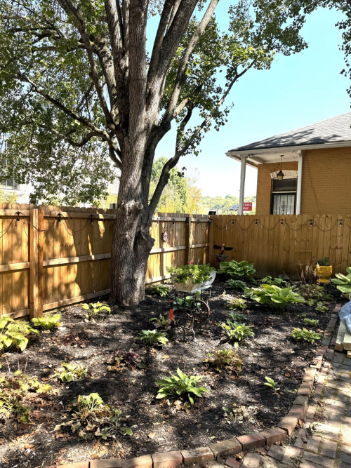 Listing Image 72