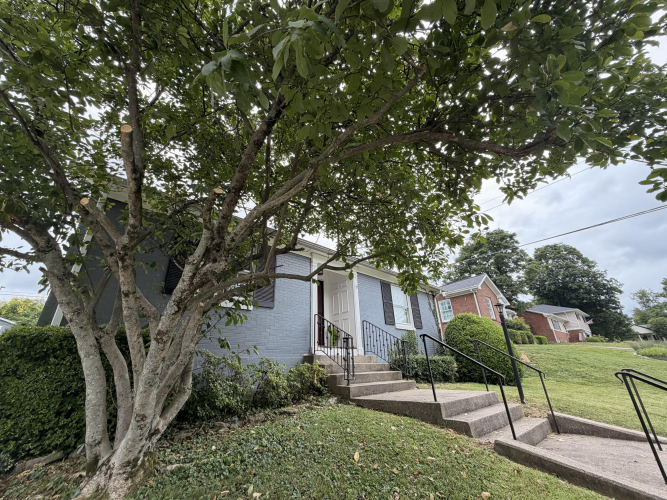 Listing Image 53