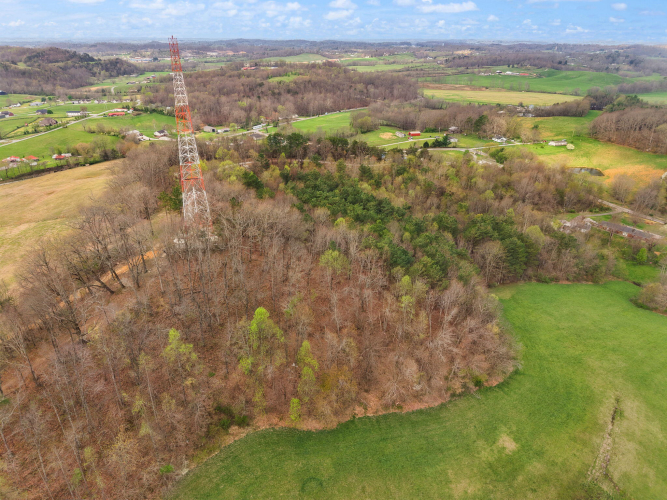 Listing Image 9