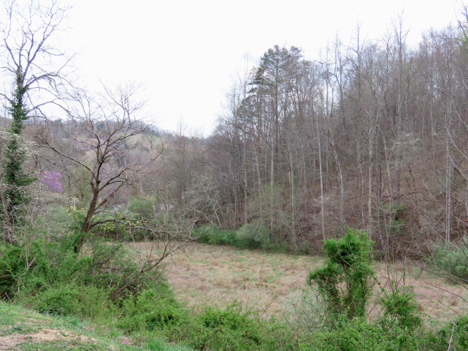Listing Image 42