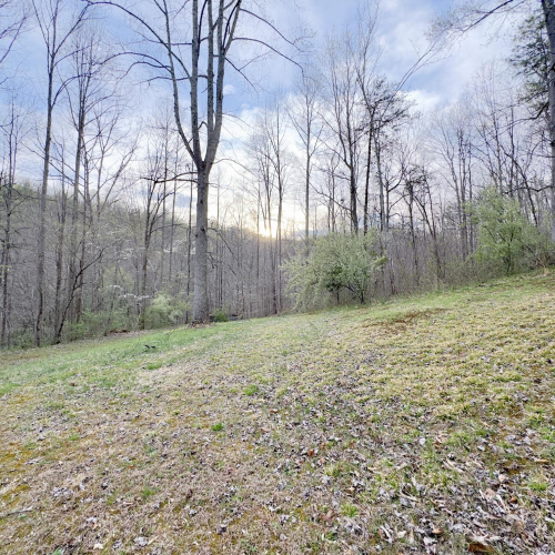 Listing Image 44