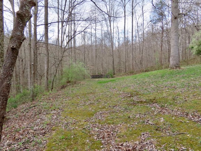 Listing Image 45
