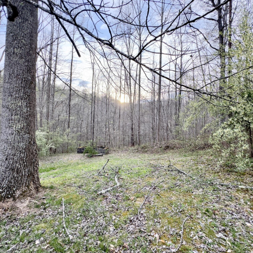 Listing Image 46