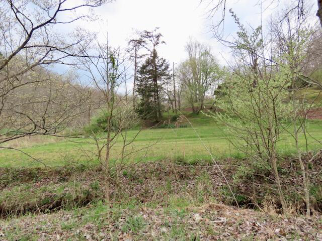 Listing Image 50