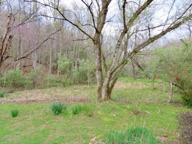 Listing Image 86