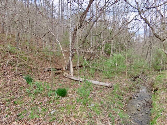 Listing Image 87