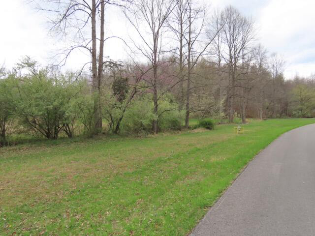 Listing Image 88