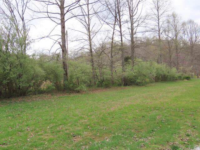 Listing Image 89