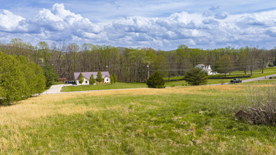 Listing Image 16
