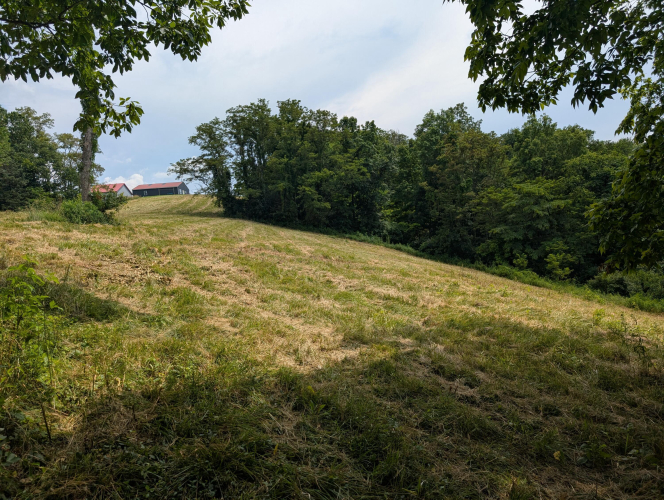 Listing Image 31