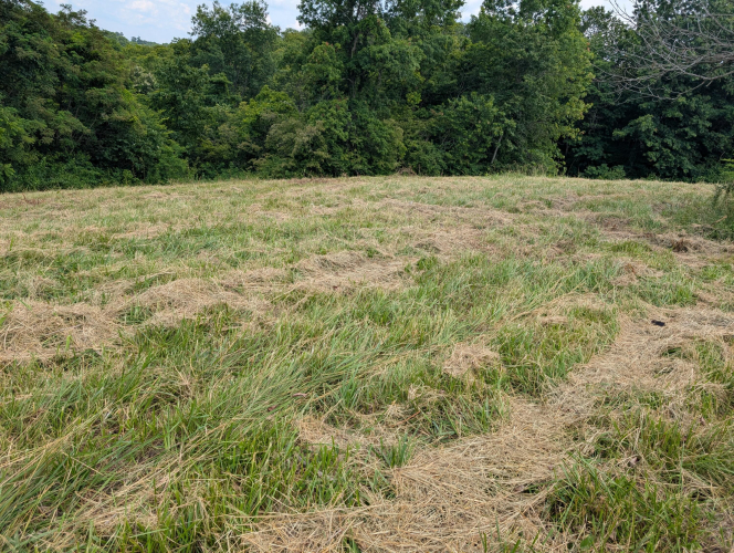 Listing Image 33