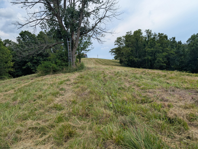 Listing Image 34