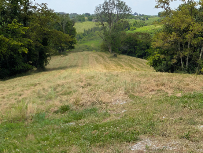 Listing Image 35