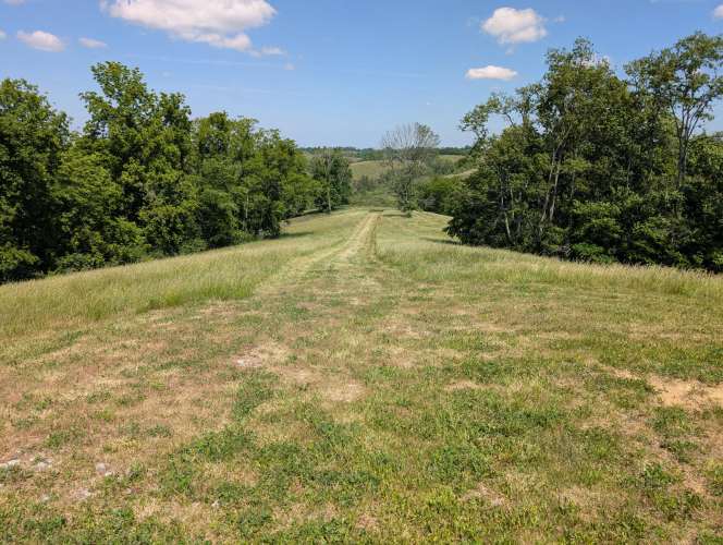 Listing Image 36