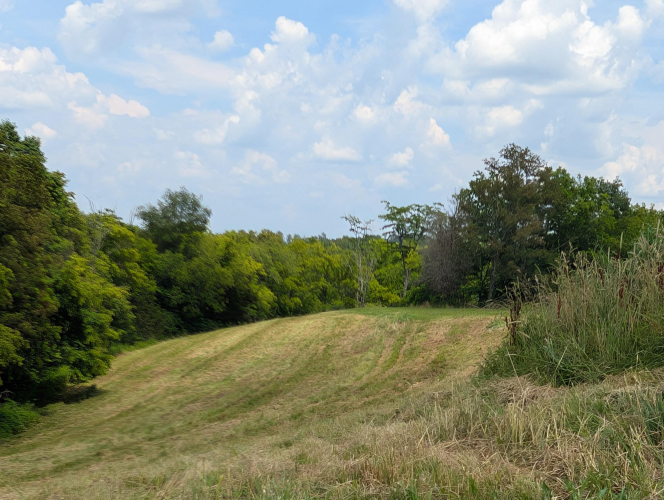 Listing Image 37