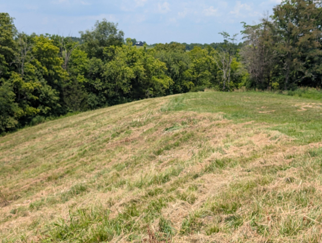 Listing Image 38