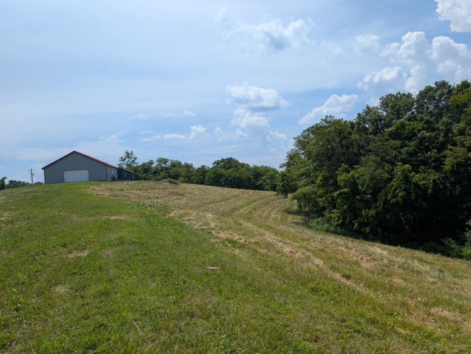 Listing Image 39