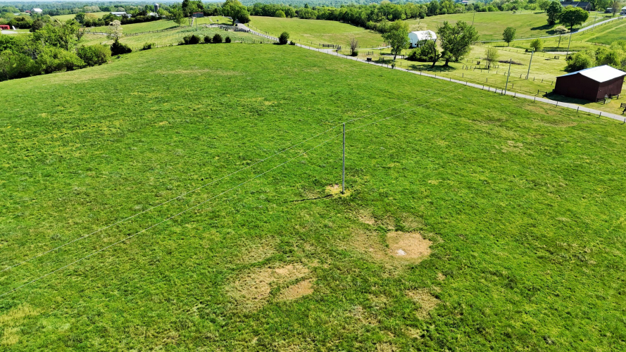 Listing Image 33