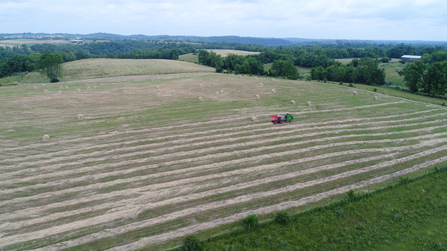 Listing Image 37