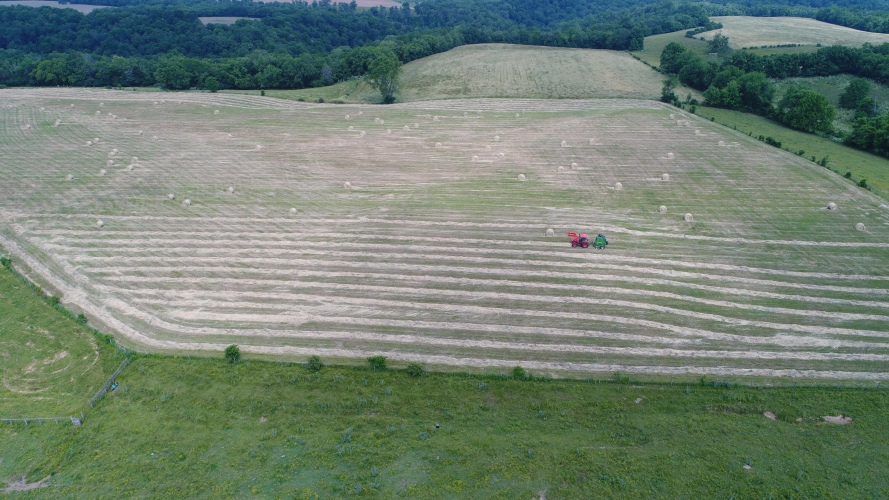 Listing Image 39