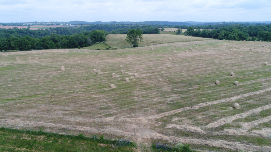 Listing Image 40