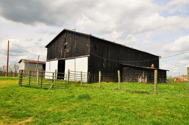 Listing Image 63