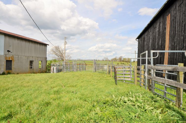 Listing Image 64
