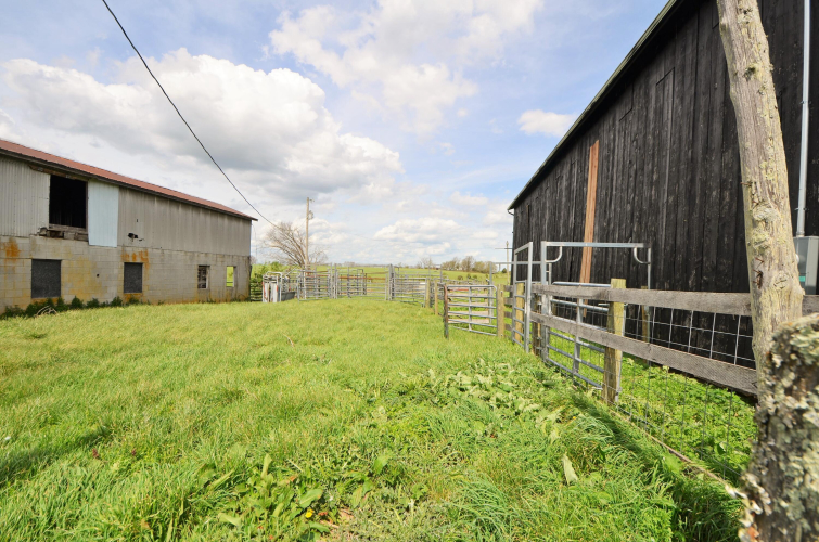 Listing Image 65