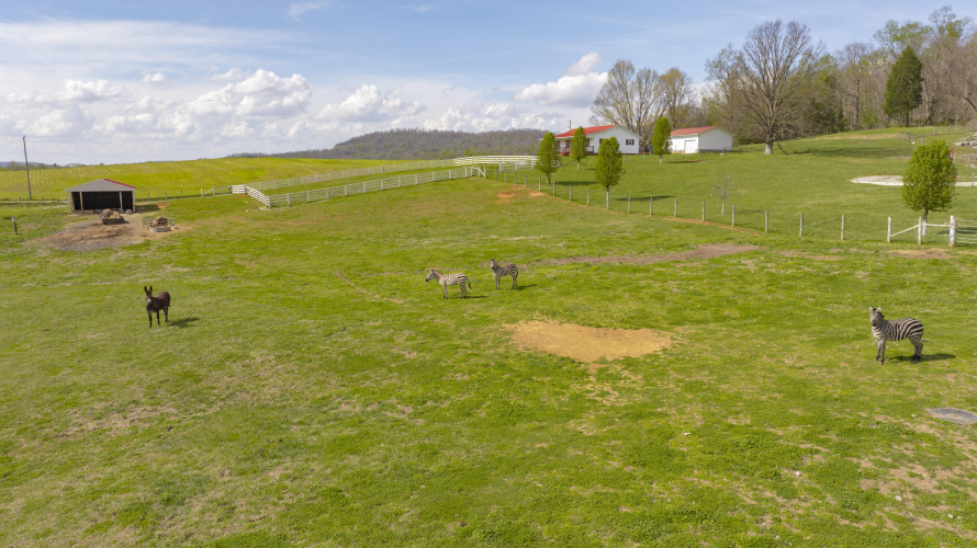 Listing Image 47