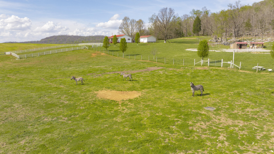 Listing Image 48