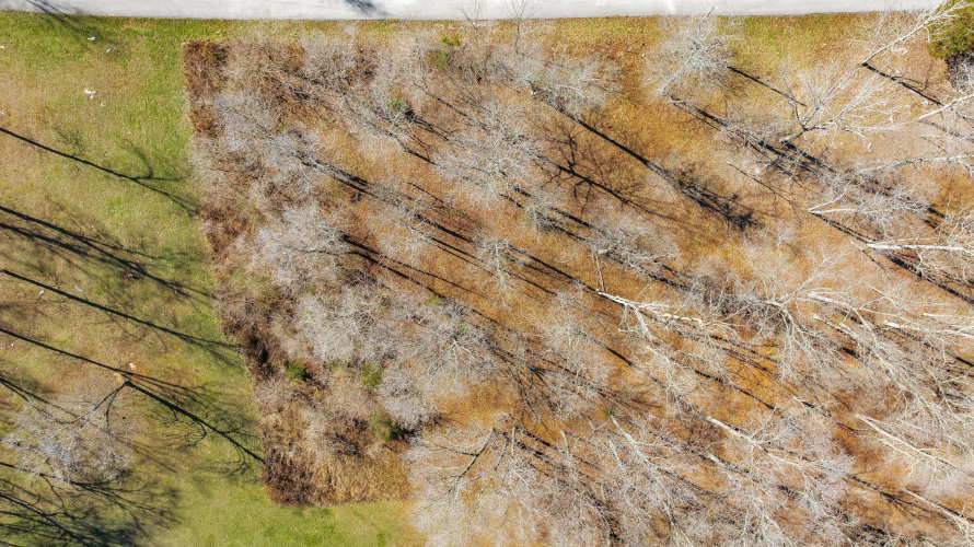 Listing Image 17