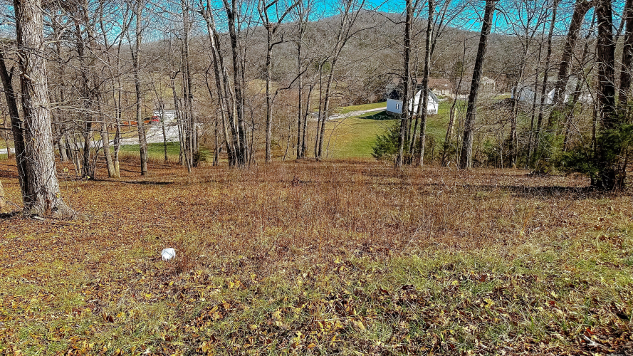 Listing Image 21