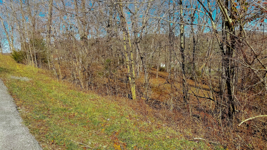 Listing Image 23
