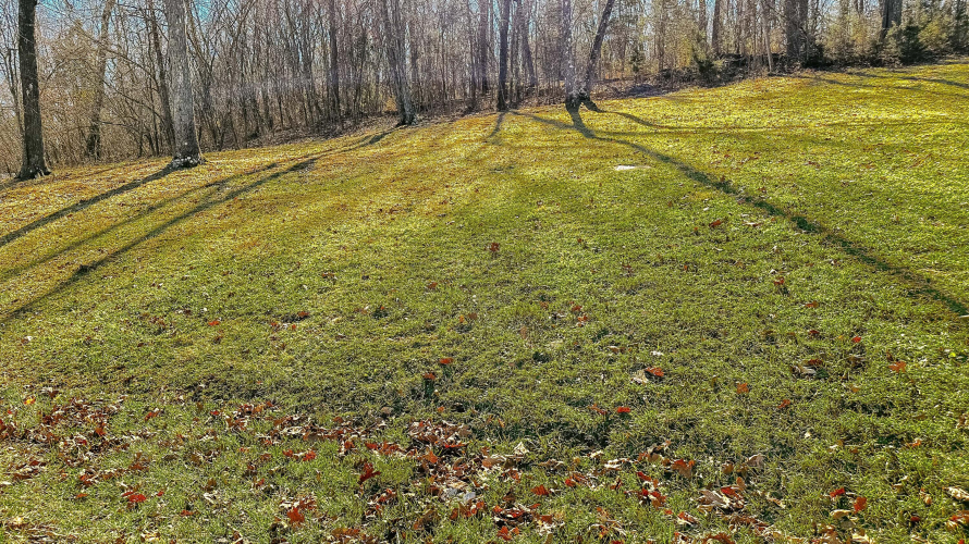 Listing Image 27