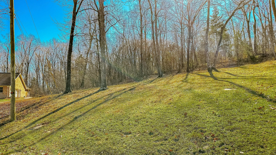 Listing Image 29