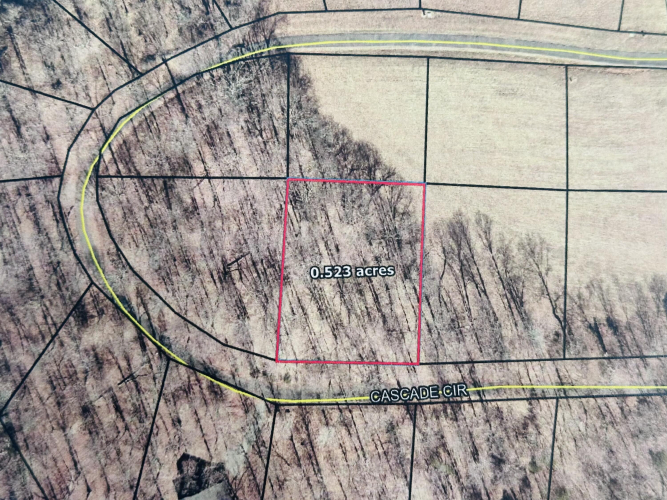 Listing Image 9