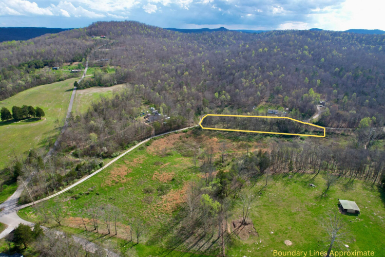 Listing Image 4