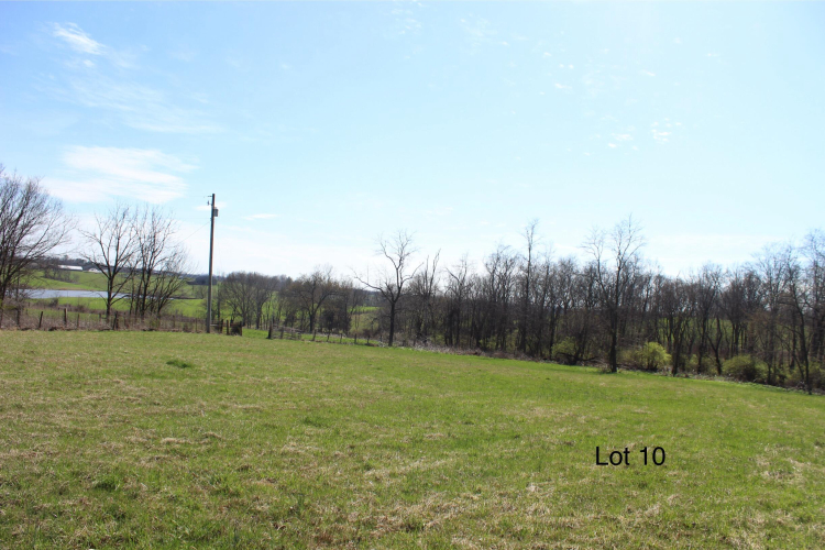 Listing Image 4