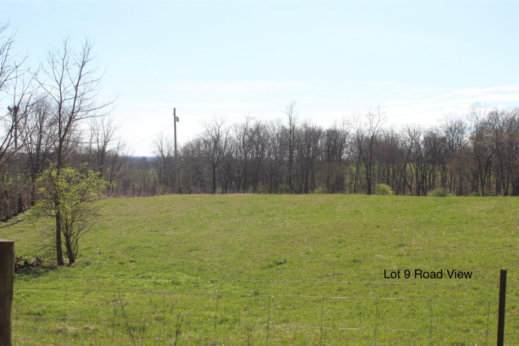 Listing Image 6
