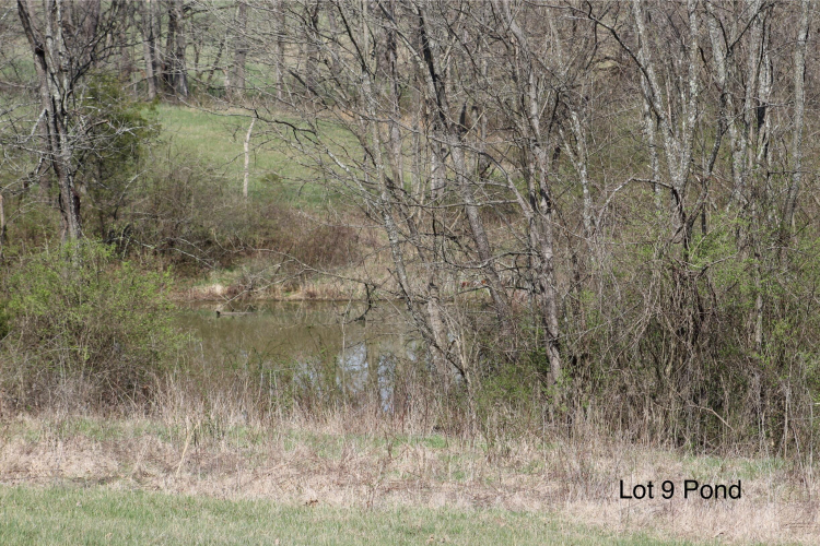 Listing Image 9